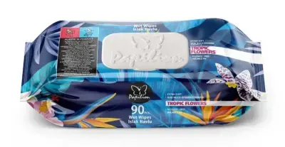 Papilon Islak Mendil Havlu 90 Lı 18 Paket